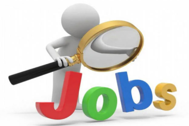 Companies may resume hiring activity by January 2021: Report