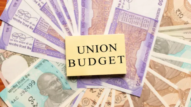 Union Budget 2023: What companies are hoping to see