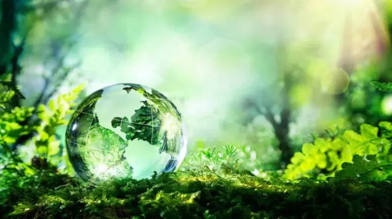 Decoding how a climate career in India looks like