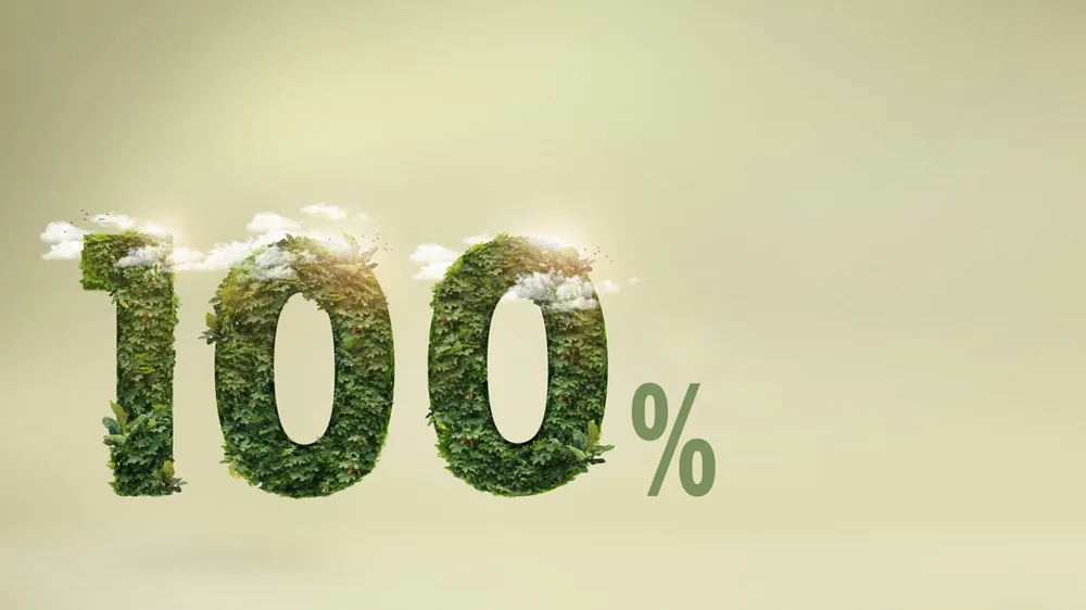 Building India’s Green Workforce Bridging the Green Skills Gap